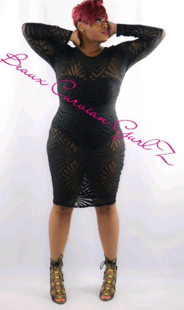 Sexy Black See Through Dress